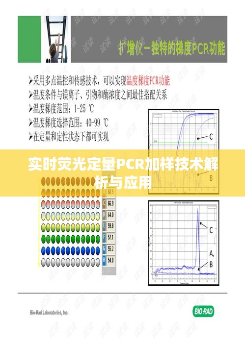 实时荧光定量PCR加样技术解析与应用