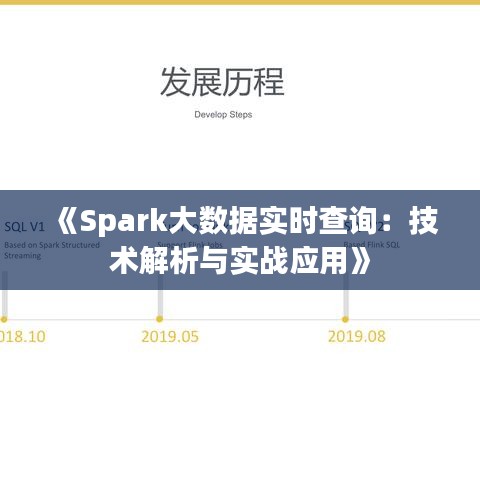 《Spark大数据实时查询：技术解析与实战应用》