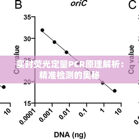 实时荧光定量PCR原理解析：精准检测的奥秘