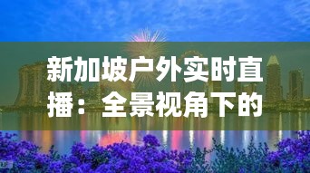 新加坡户外实时直播：全景视角下的狮城魅力