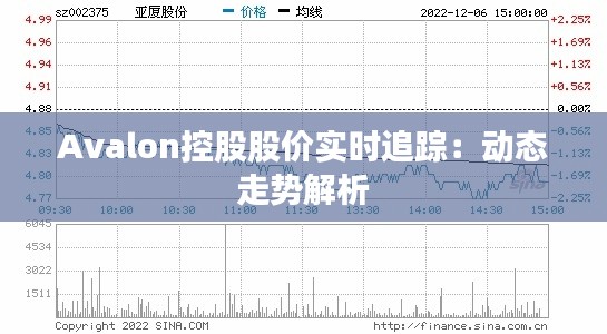 Avalon控股股价实时追踪：动态走势解析