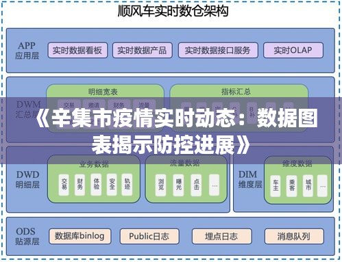 《辛集市疫情实时动态：数据图表揭示防控进展》