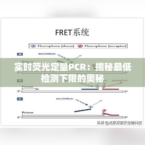 实时荧光定量PCR：揭秘最低检测下限的奥秘