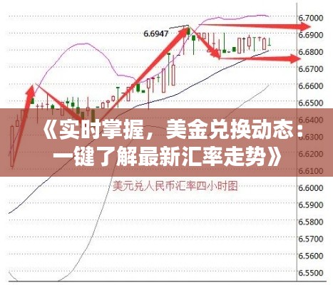 《实时掌握，美金兑换动态：一键了解最新汇率走势》