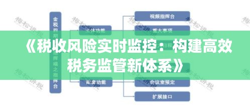 《税收风险实时监控：构建高效税务监管新体系》