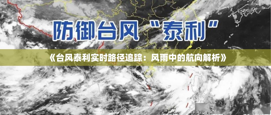 《台风泰利实时路径追踪：风雨中的航向解析》