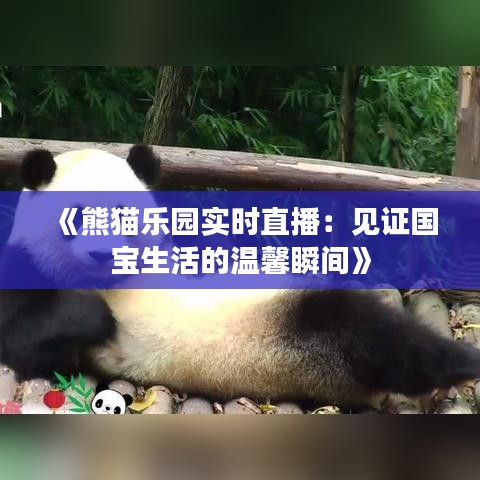 《熊猫乐园实时直播：见证国宝生活的温馨瞬间》