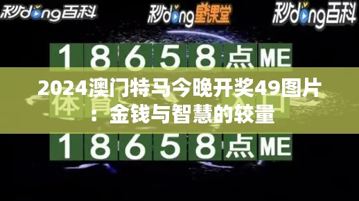 2024澳门特马今晚开奖49图片：金钱与智慧的较量