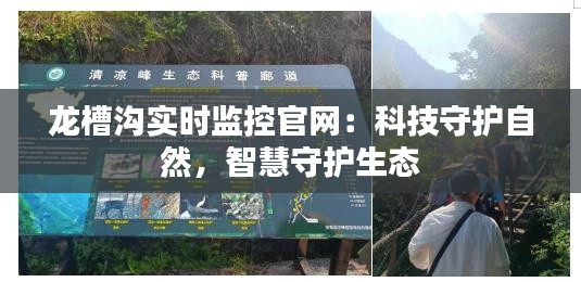 龙槽沟实时监控官网：科技守护自然，智慧守护生态