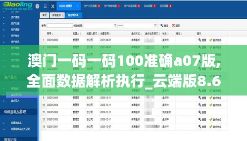 澳门一码一码100准确a07版,全面数据解析执行_云端版8.612