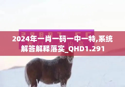 2024年一肖一码一中一特,系统解答解释落实_QHD1.291