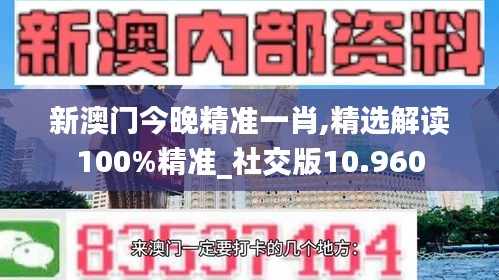 新澳门今晚精准一肖,精选解读100%精准_社交版10.960