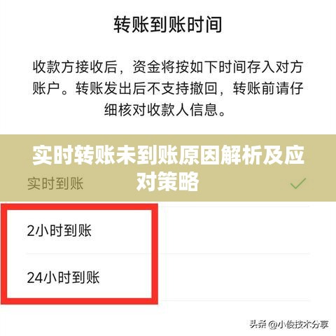 实时转账未到账原因解析及应对策略