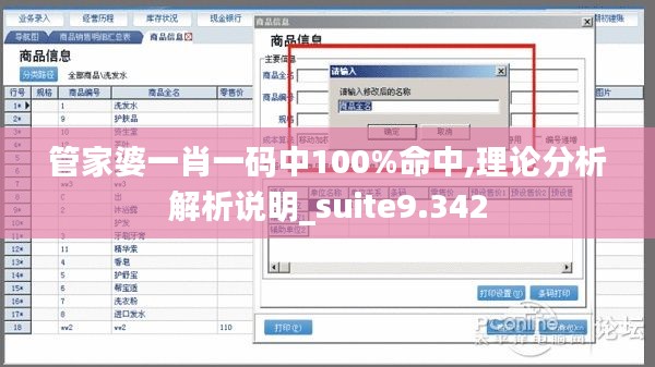 管家婆一肖一码中100%命中,理论分析解析说明_suite9.342