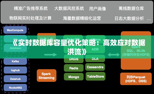 《实时数据库容量优化策略：高效应对数据洪流》