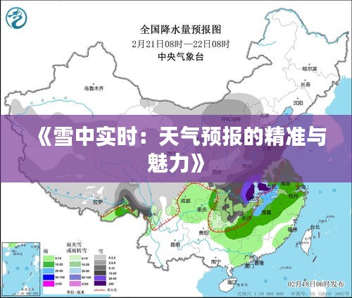 《雪中实时：天气预报的精准与魅力》