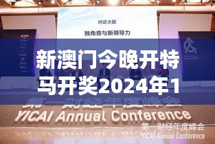 新澳门今晚开特马开奖2024年11月：经济繁荣与社会责任并重