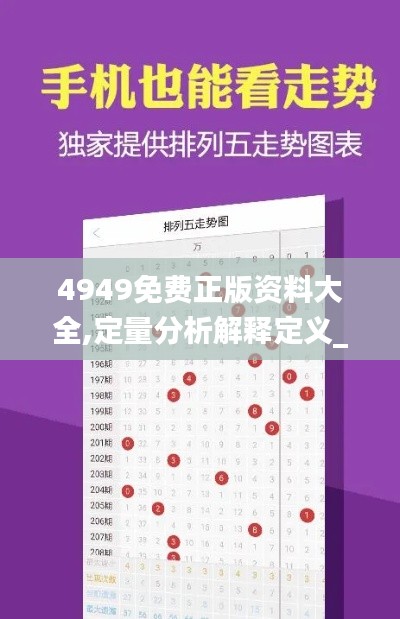 4949免费正版资料大全,定量分析解释定义_开发版19.217