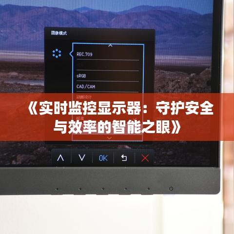 《实时监控显示器：守护安全与效率的智能之眼》