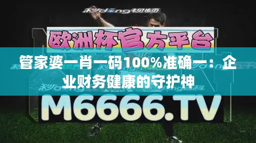 管家婆一肖一码100%准确一：企业财务健康的守护神