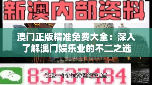 澳门正版精准免费大全：深入了解澳门娱乐业的不二之选