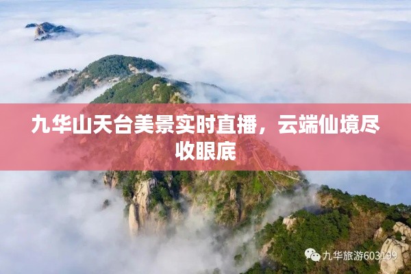 九华山天台美景实时直播，云端仙境尽收眼底