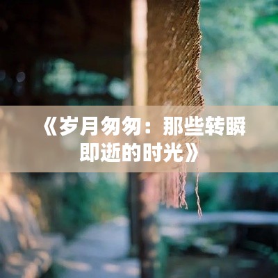 《岁月匆匆：那些转瞬即逝的时光》