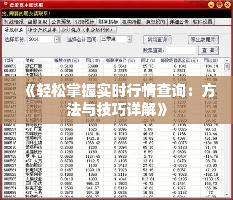 《轻松掌握实时行情查询：方法与技巧详解》