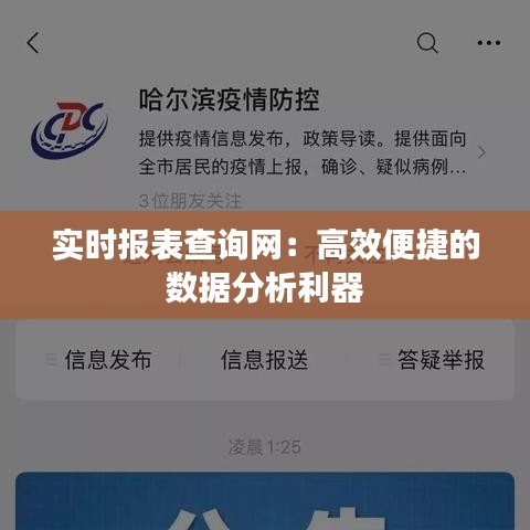 实时报表查询网：高效便捷的数据分析利器