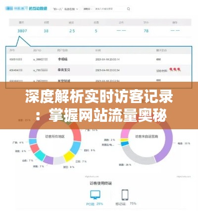 深度解析实时访客记录：掌握网站流量奥秘