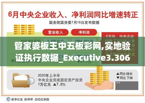 管家婆板王中五板彩网,实地验证执行数据_Executive3.306