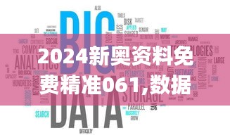 2024新奥资料免费精准061,数据驱动执行决策_微型版5.391