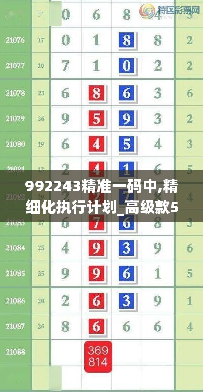 992243精准一码中,精细化执行计划_高级款5.129