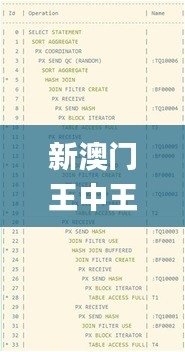 新澳门王中王100%期期中,灵活设计解析方案_Tablet1.266