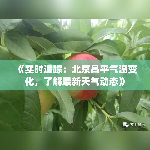 《实时追踪：北京昌平气温变化，了解最新天气动态》