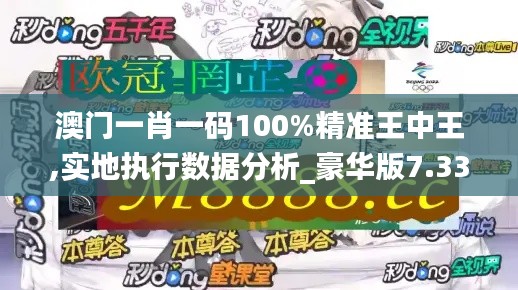 澳门一肖一码100%精准王中王,实地执行数据分析_豪华版7.335