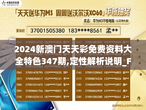 2024新澳门天天彩免费资料大全特色347期,定性解析说明_FT1.709