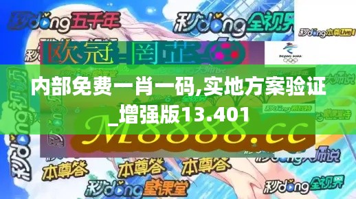 内部免费一肖一码,实地方案验证_增强版13.401