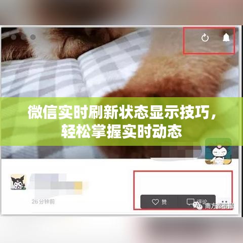 微信实时刷新状态显示技巧，轻松掌握实时动态