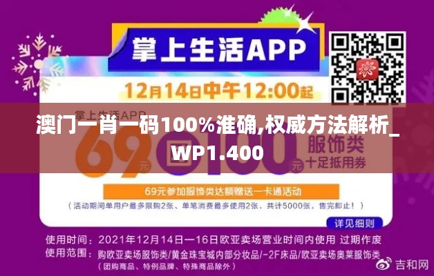 澳门一肖一码100%淮确,权威方法解析_WP1.400