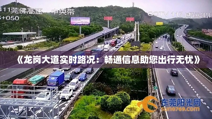 《龙岗大道实时路况：畅通信息助您出行无忧》