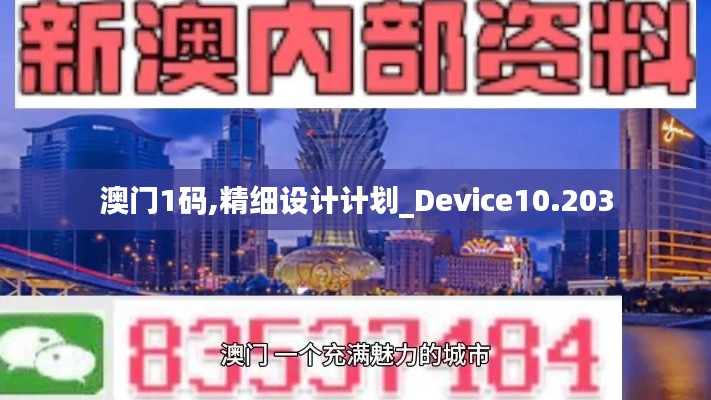 澳门1码,精细设计计划_Device10.203