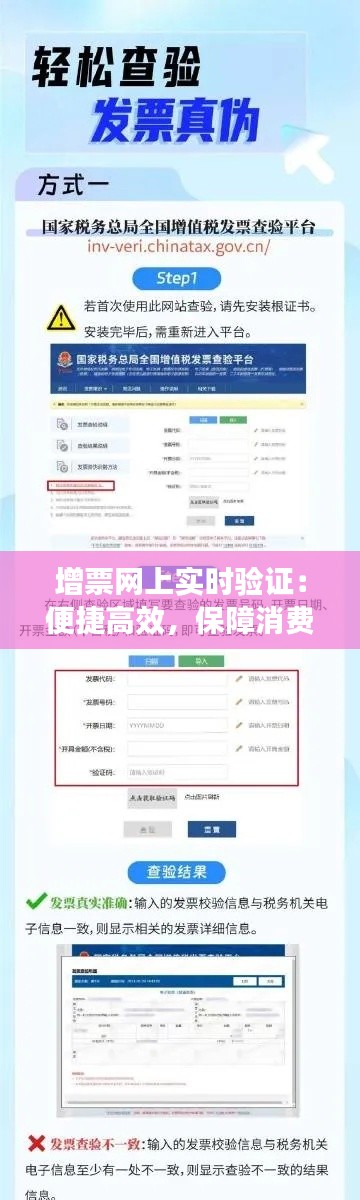 增票网上实时验证：便捷高效，保障消费者权益