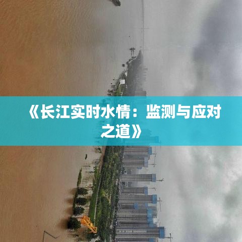 《长江实时水情：监测与应对之道》