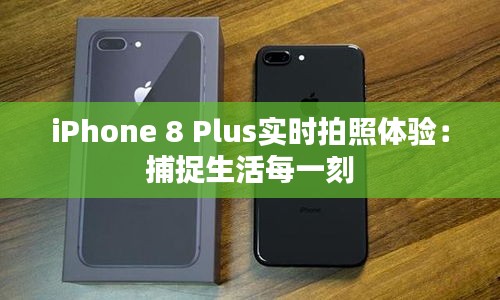 iPhone 8 Plus实时拍照体验：捕捉生活每一刻