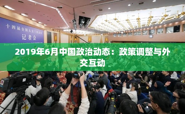 2019年6月中国政治动态：政策调整与外交互动