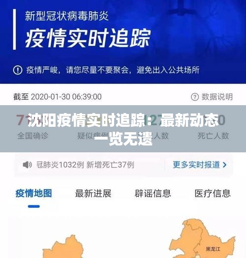 沈阳疫情实时追踪：最新动态一览无遗