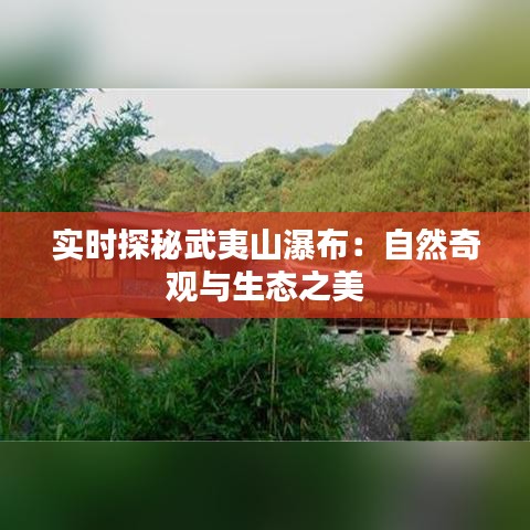 实时探秘武夷山瀑布：自然奇观与生态之美