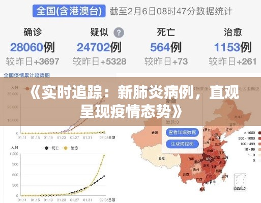 《实时追踪：新肺炎病例，直观呈现疫情态势》