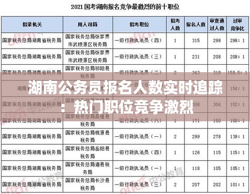 湖南公务员报名人数实时追踪：热门职位竞争激烈